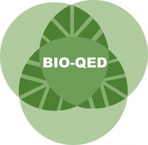13-03-27 logo bioqed